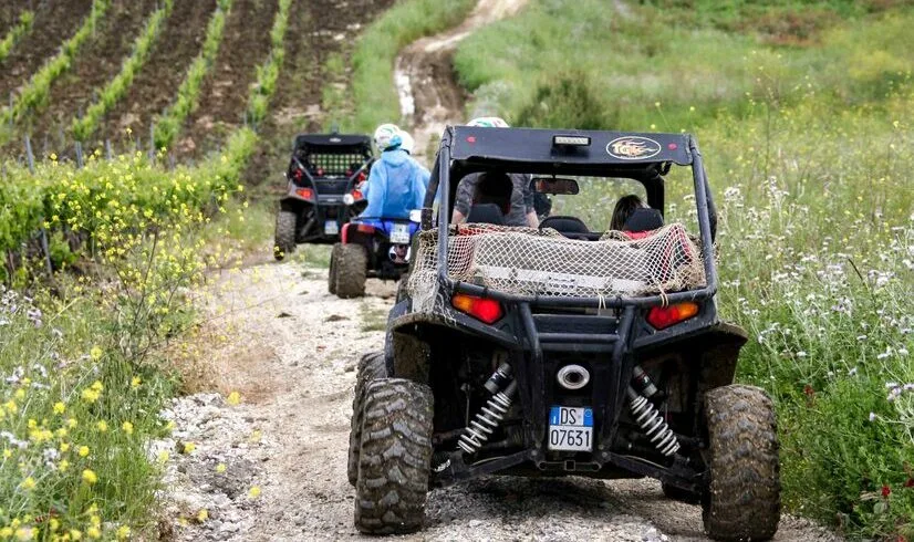 Buggy